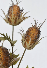 Load image into Gallery viewer, Faux Thistle Stem
