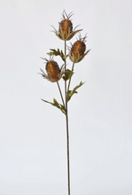 Load image into Gallery viewer, Faux Thistle Stem
