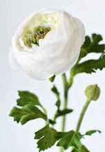 Load image into Gallery viewer, Faux White Ranunculus
