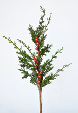 Load image into Gallery viewer, 24&quot; Faux Cedar Red Berry Stem
