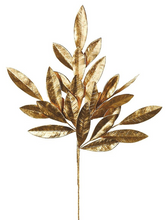 Load image into Gallery viewer, 19&quot; Faux Gold Bay Leaf Stem

