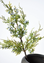 Load image into Gallery viewer, 18&quot; Faux Juniper Berry Greenery Stem
