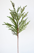 Load image into Gallery viewer, 36&quot; Faux Green Cypress Spray Stem
